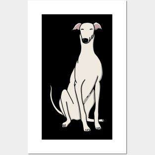 Cute White Greyhound Posters and Art